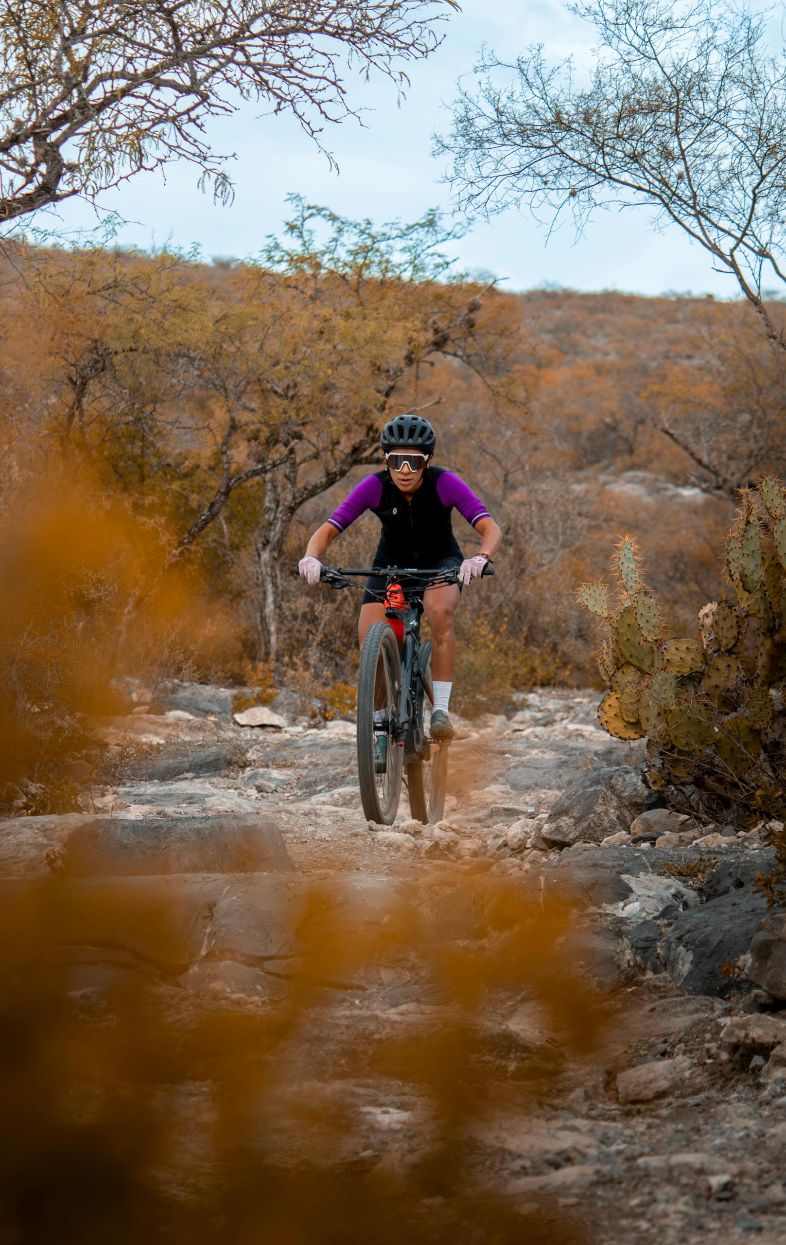 Person Riding a Bicycle in Autumn